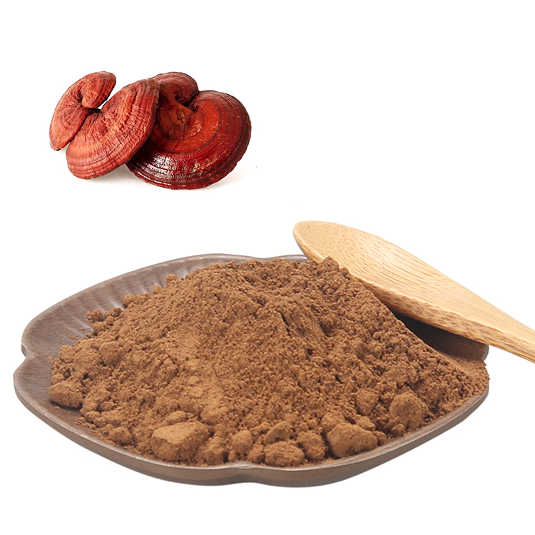 Must-Have Adaptogen for Busy Professionals: Reishi Extract